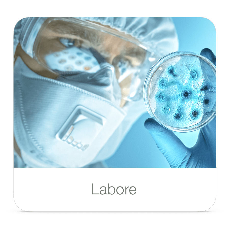 Labore